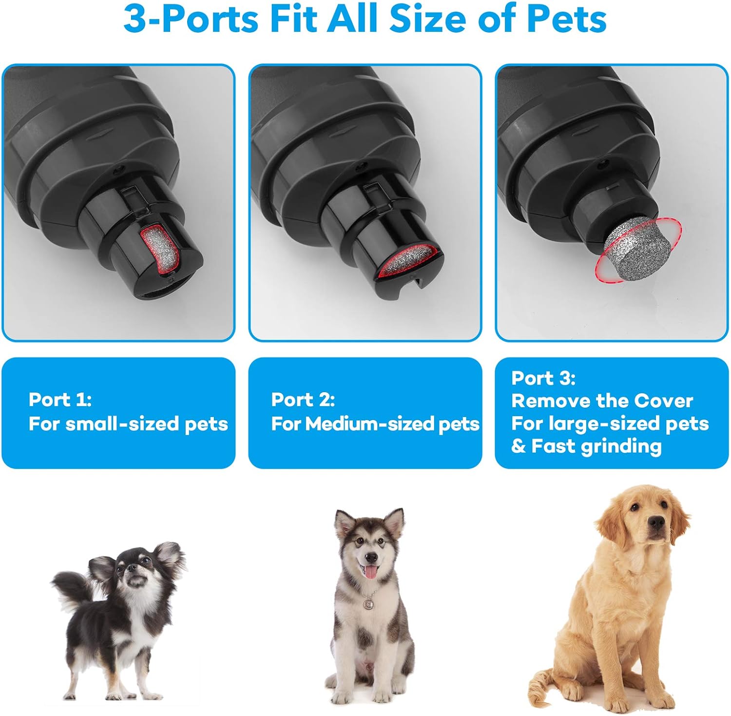 Ultimate Dog Nail Grinder with Dual LED Lights - Powerful 2-Speed Electric Trimmer for Painless Grooming of Small, Medium, and Large Dogs and Cats (Stylish Grey)